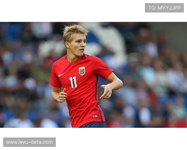 厄德高：从天才少年到成熟核心的荣誉与成长轨迹解析