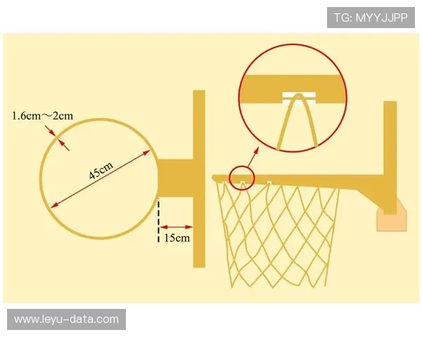 详解篮球罚球规则的具体判定与执行流程